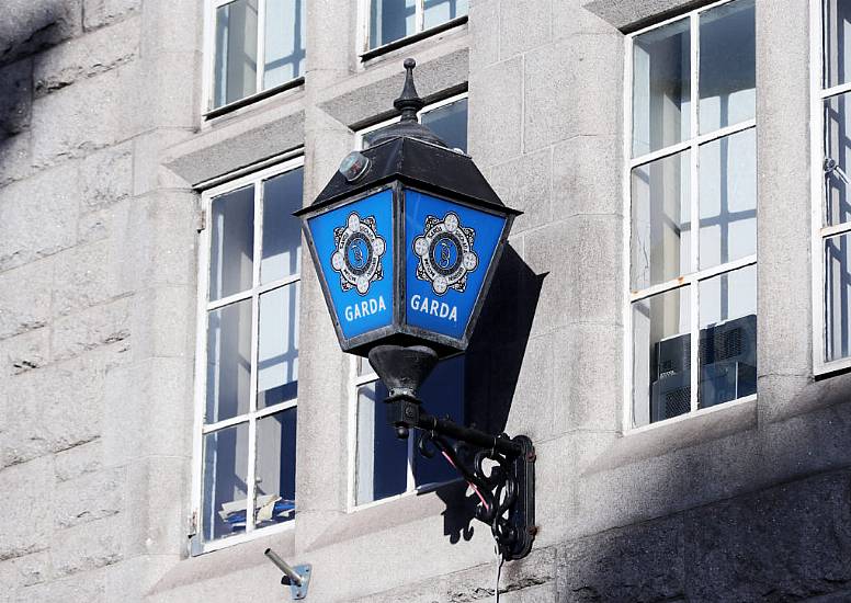 Two Arrested Following Attempted Theft In Dublin