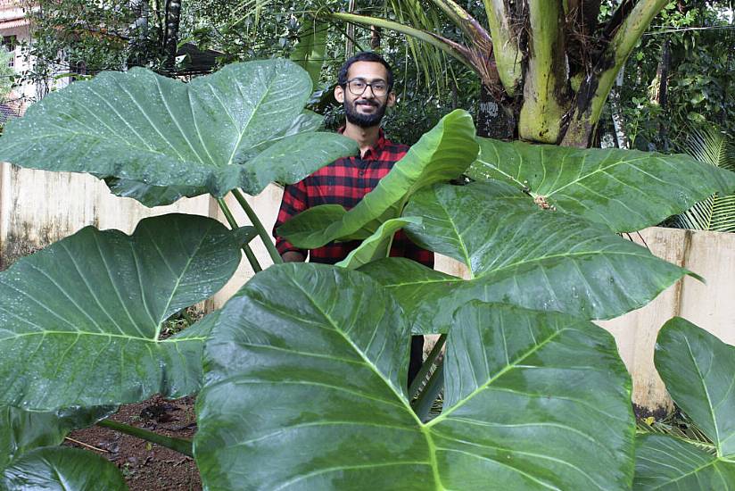 Father And Son Grow Vegetable Garden To Feed Neighbours During Pandemic In India