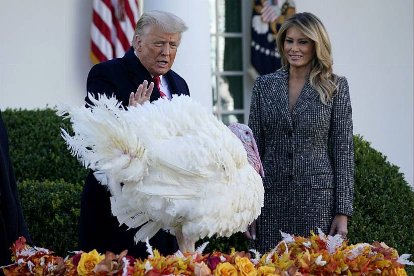 Trump Gives Thanks For Covid Vaccines As Thanksgiving Turkeys Reprieved