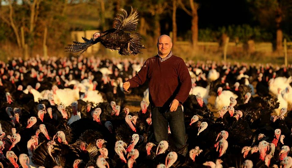 Turkey Farmer Says Customers Not In A Flap Over Christmas As Orders Rise