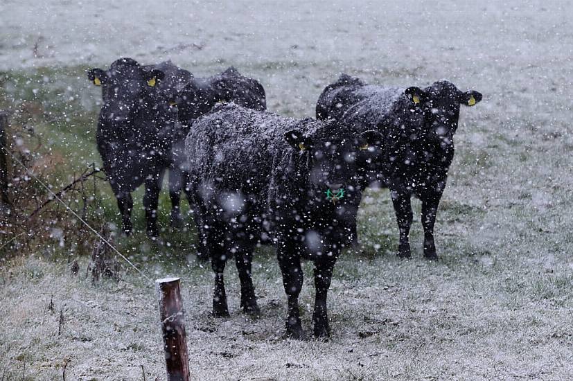 Snow And Ice Warning Issued For 18 Counties