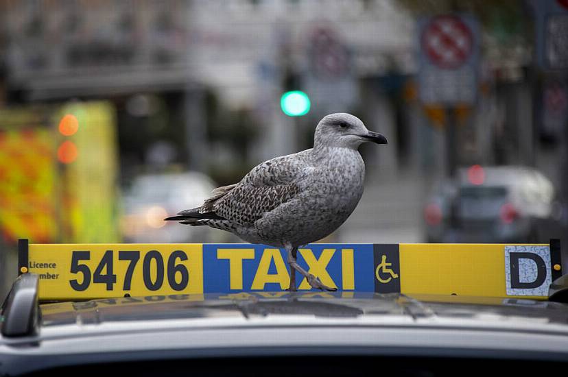 Taxis Must Now Accept Card Payments, While Fares Increase By 12%