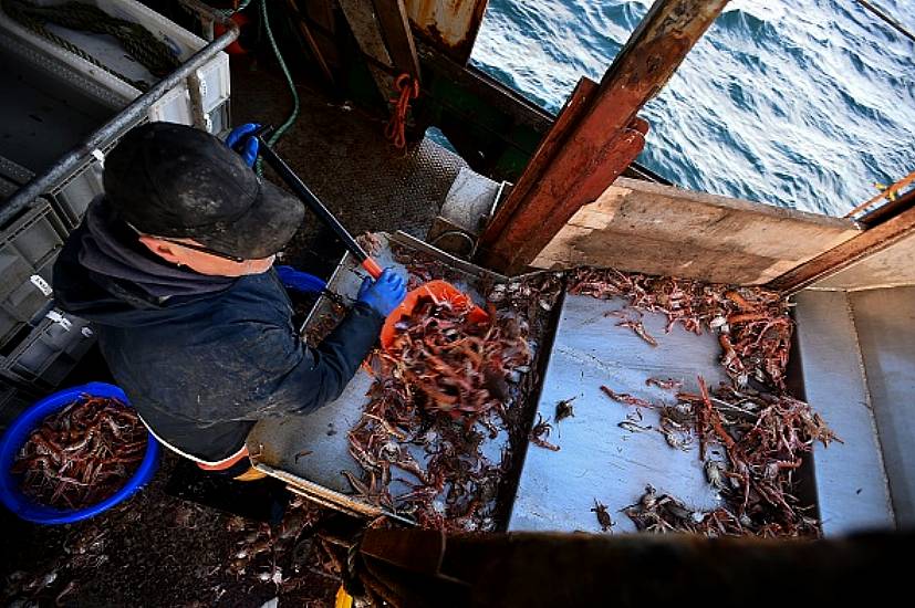 Fishermen Fail In Final Leg Of Legal Battle Over Ban On Prawn Catches