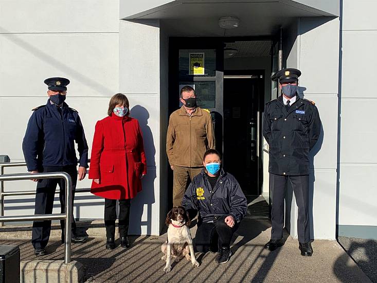 Stolen Dog Tracked Down In Uk And Reunited With Cork Family