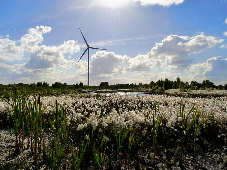 Bord Na Móna Formally Ends All Peat Harvesting