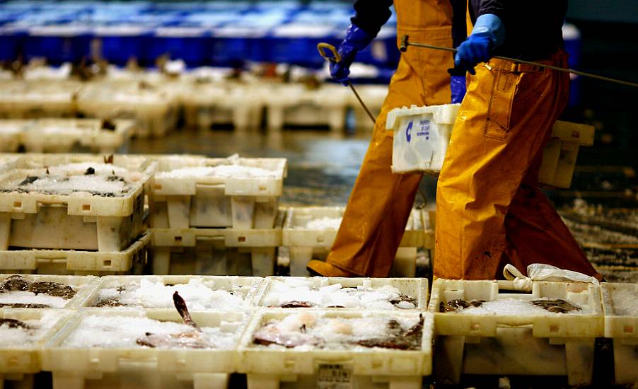 Scottish Fishermen Land Fish In Denmark To Avoid Post-Brexit Red Tape