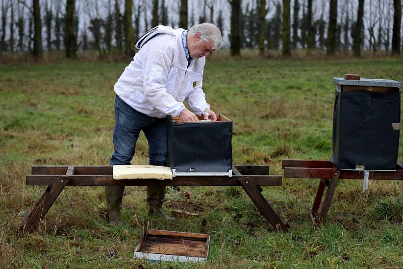 Beekeeper In Brexit Row With Uk Government Over Threat To Burn 15M Baby Bees