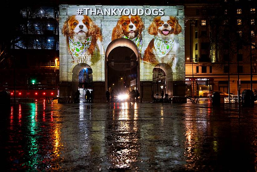 Projections On London Landmarks Thank Dogs For Lockdown Companionship