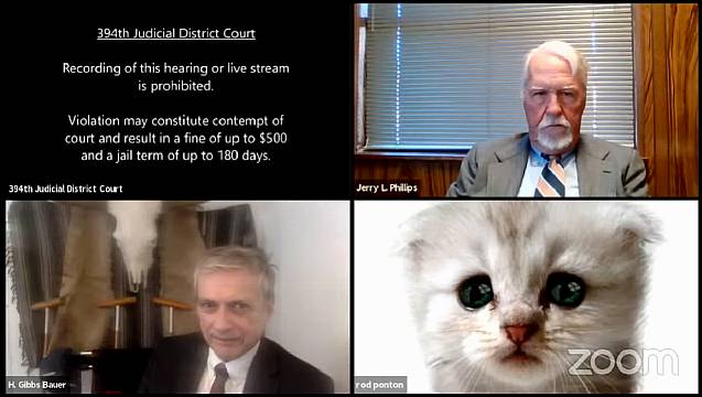 ‘I’m Not A Cat’: Lawyer Goes Viral For Accidental Kitten Filter