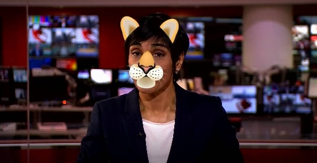 Newsreader Dons Cat Filter On Air After Lawyer’s Viral Zoom Mishap