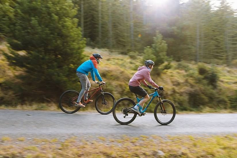 Some Coillte Forests See Visitor Numbers Triple Since Coronavirus