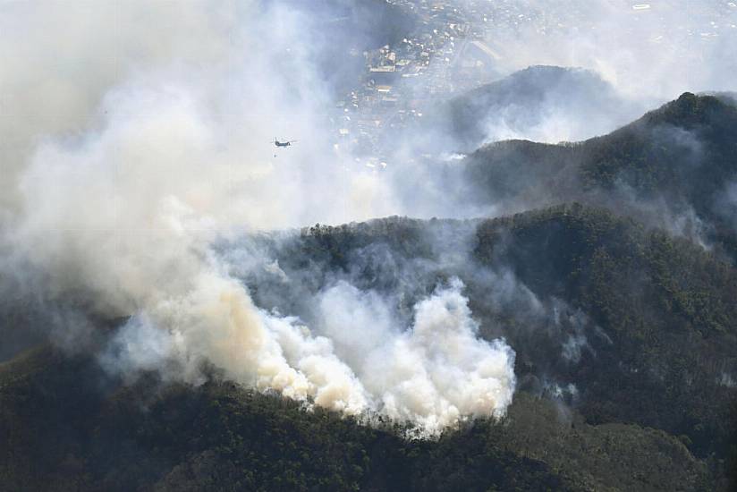 Firefighters Battle Forest Blazes In Japan