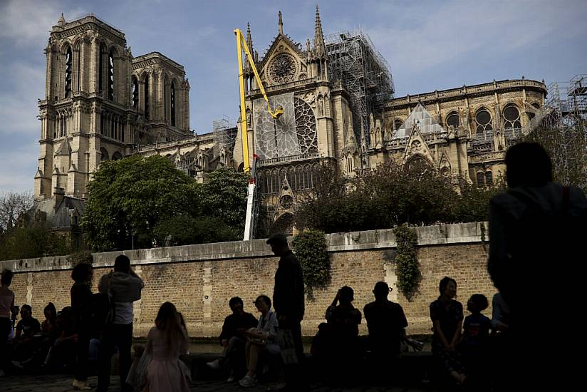 First Oak Trees Selected To Replace Notre Dame’s Spire