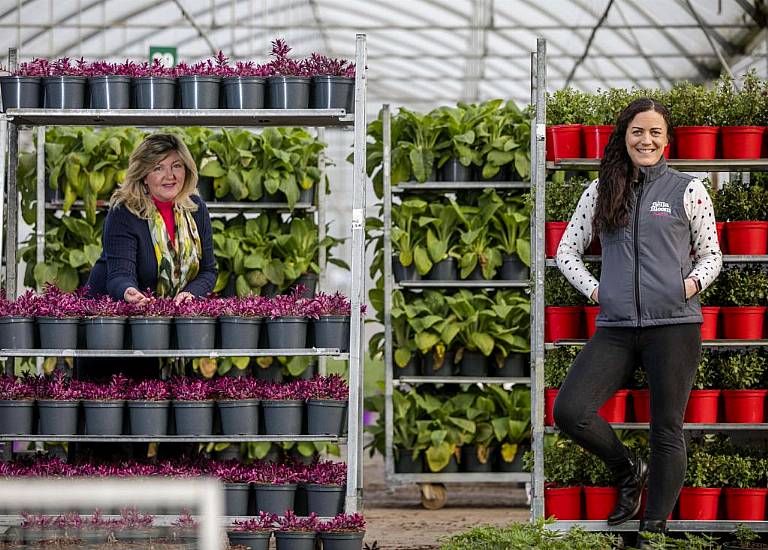 Consumer Spend On Gardening Increases To €1.2Bn In 2020