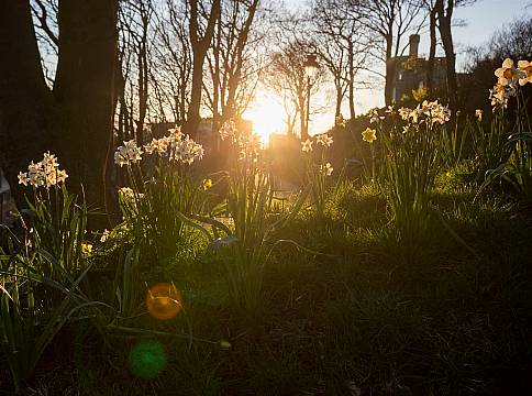 12 Small Joys Of The Clocks Springing Forward