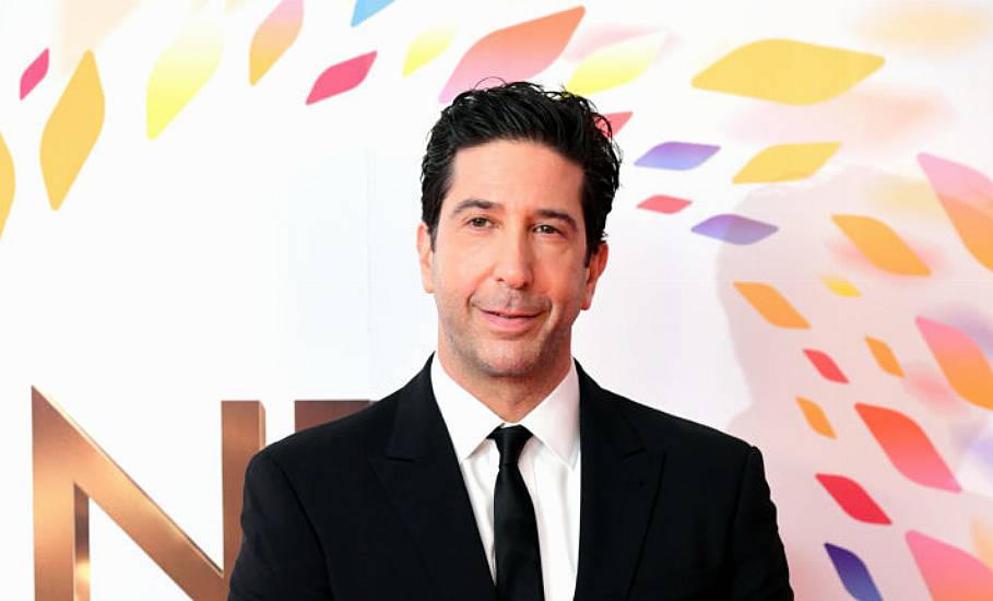 David Schwimmer Talks Friends Reunion