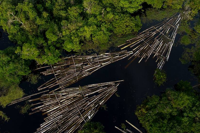 Amazon Deforestation Rose 17% In 'Dire' 2020, Data Shows