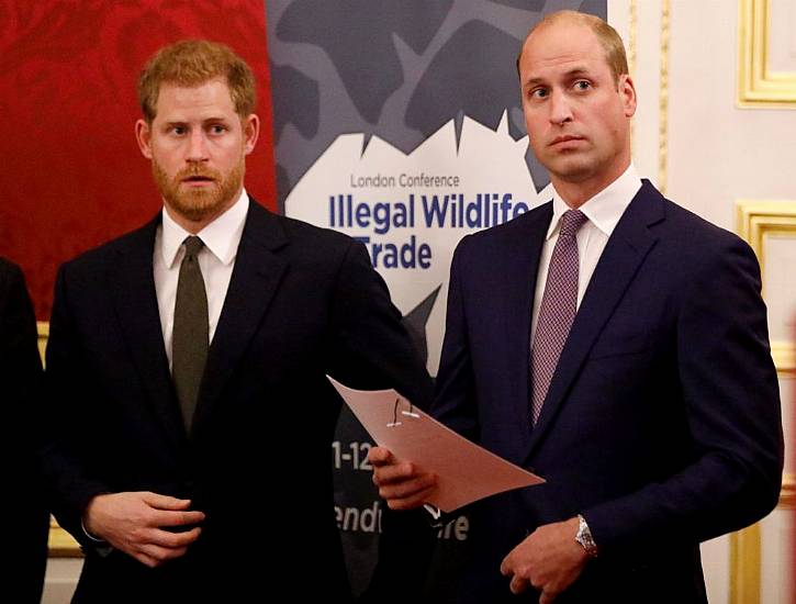 William And Harry Will Walk Apart In Grandfather Philip’s Funeral Procession