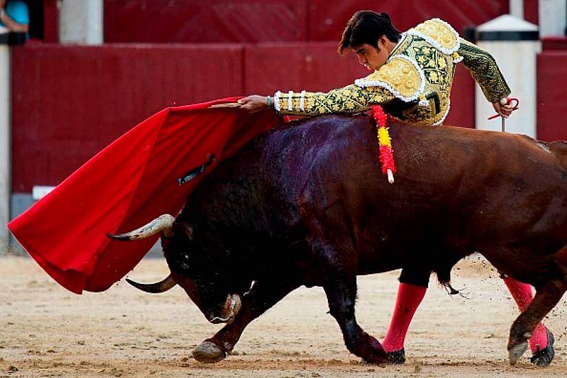 Madrid To Host Charity Bullfight For Matadors Left Jobless By Covid