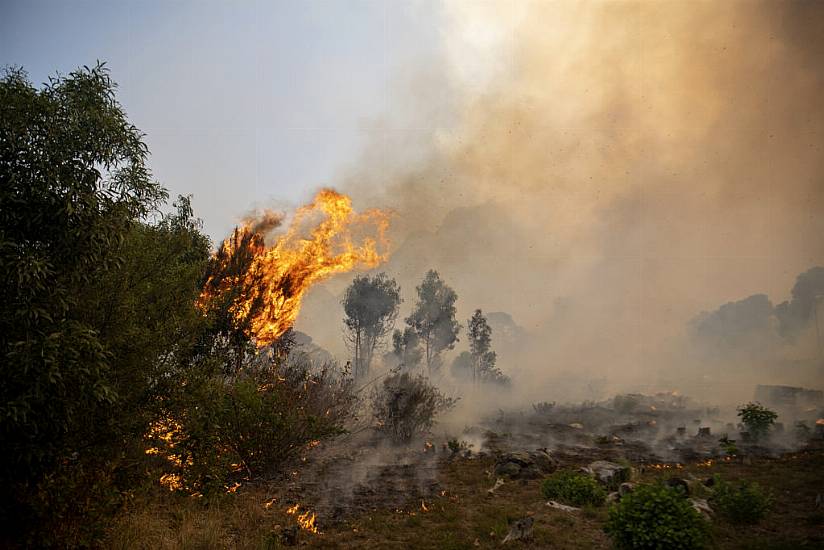 Residents Evacuated As Table Mountain Fire Spreads In Cape Town