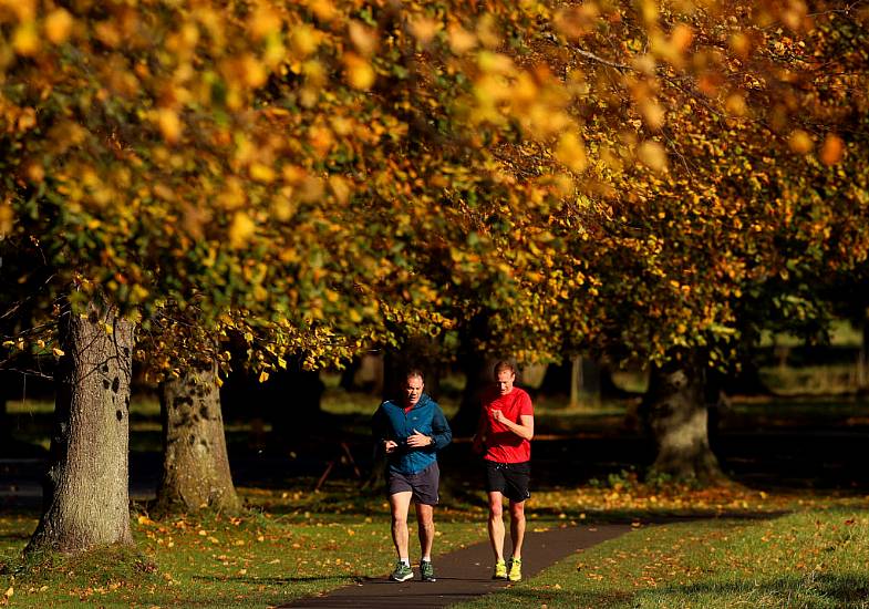 Dip In Pandemic Surge Of Adults Exercising From Home