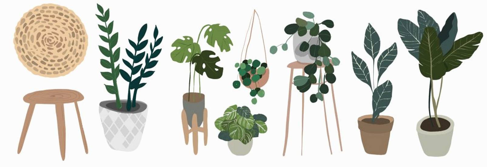 11 Things You’ll Understand If You’re A Consistent Plant Killer