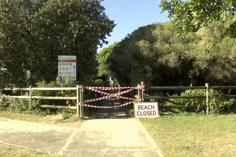 Man Dies In Shark Attack On Australia’s East Coast