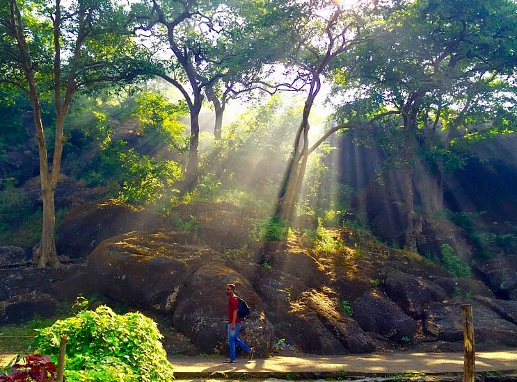 Three Of The Most Spectacular Urban Forests In The World – And Why They Should Be On Your Bucket List