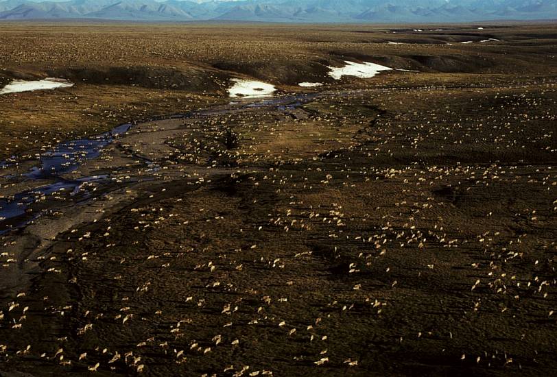 President Joe Biden Suspends Oil Leases In Alaska’s Arctic Refuge