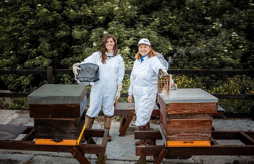 Swarm Of Bees Inspires Mother And Daughter To Create New Gin