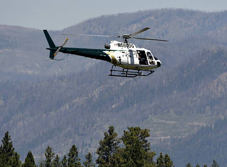 Killer Grizzly Bear Shot Dead After Rangers Set Night-Vision Trap