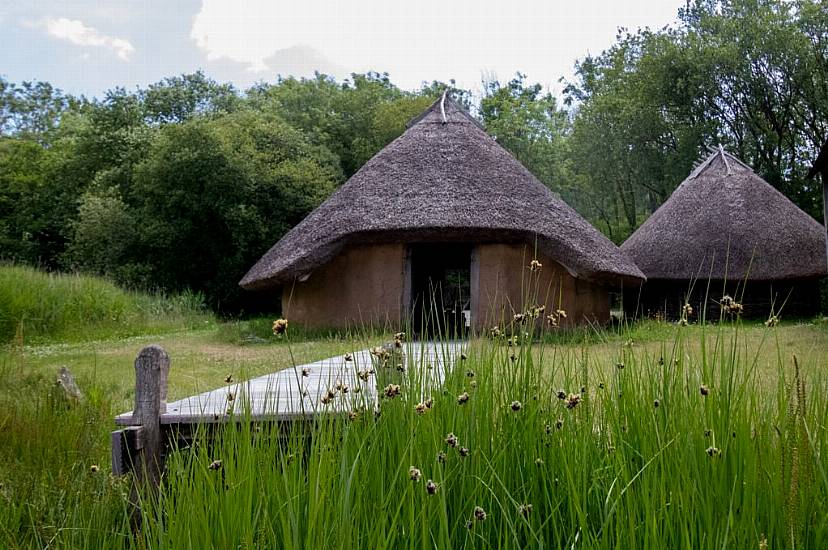 Volunteers Sought For Community Archaeological Dig In Wexford