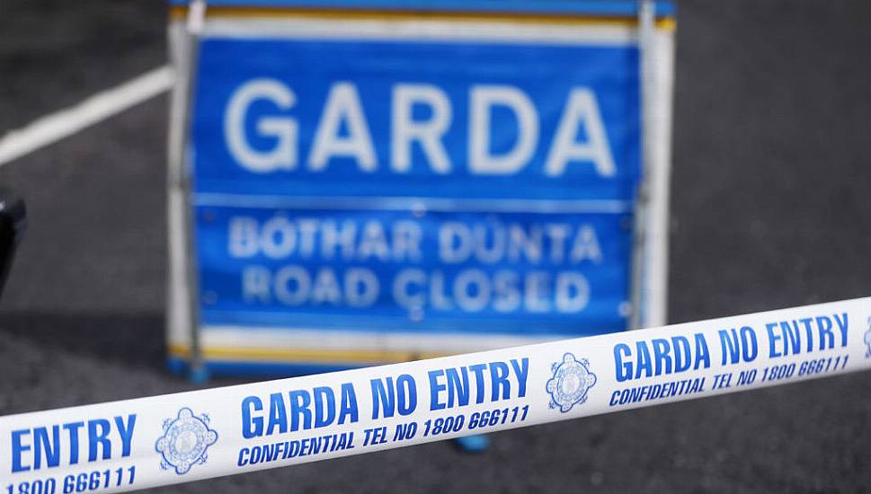 Gardaí Renew Appeal For Information Regarding Fatal M7 Crash