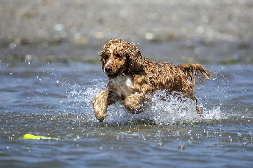 Met Éireann Extends High Temperature Warning For Ireland Into Weekend