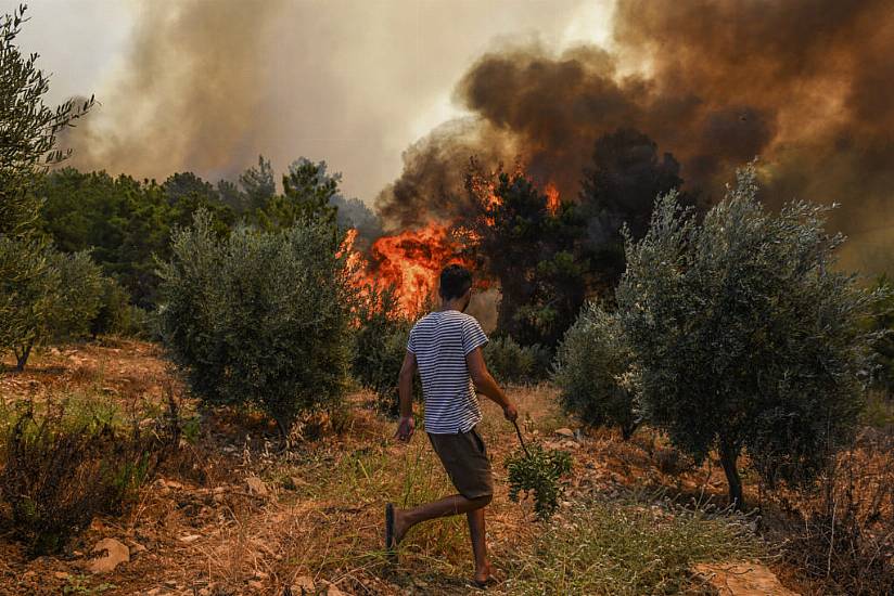 Turkey Evacuates Panicked Tourists By Boat From Wildfires