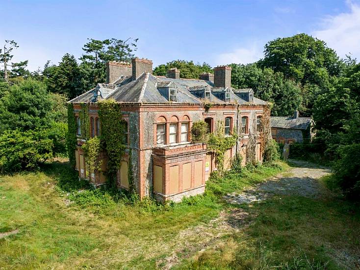 Crumbling Laois Mansion At Slashed Price In Hopes Buyer Will Restore Former Glory