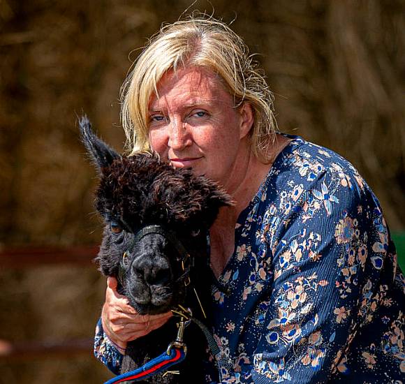 Owner Of Condemned Alpaca Geronimo Praises ‘Wonderful’ Support