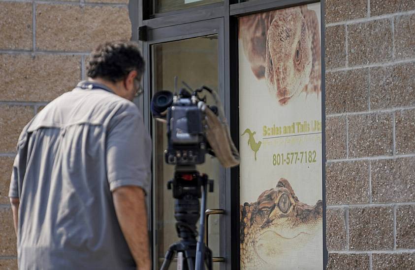 Visitor Performs Daring Rescue After Handler Dragged Into Enclosure By Alligator