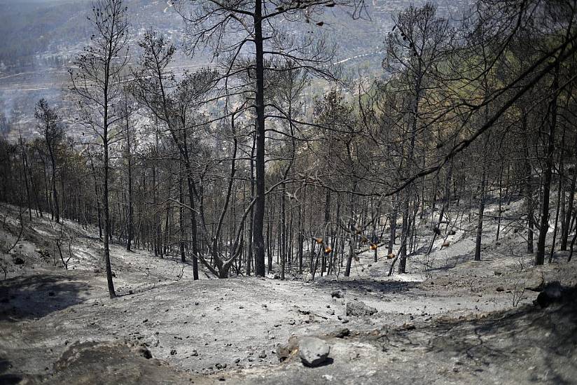 Israeli Firefighters Continue To Tackle Wildfires Near Jerusalem