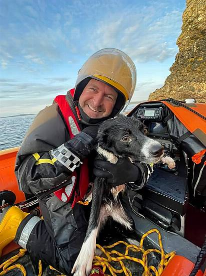 'Wonderdog' June Survives 180-Foot Fall From Cliffs