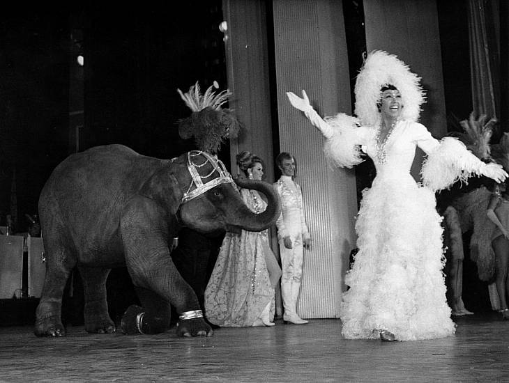 Josephine Baker First Black Woman To Receive Paris Burial Honour