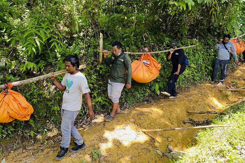 Three Endangered Sumatran Tigers Found Dead In Indonesian Forest