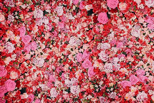 Diy Flower Walls Are Trending On Tiktok – Here’s How To Create One Yourself