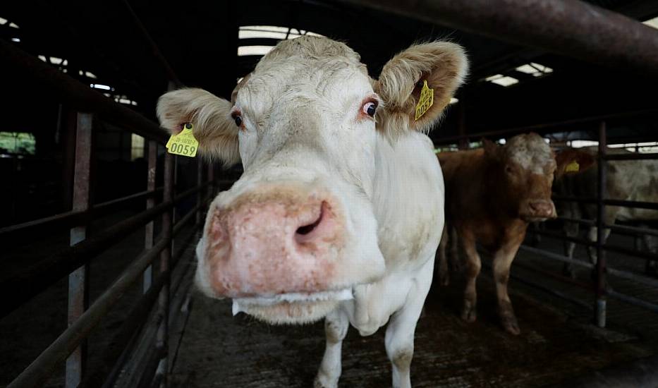 New Climate Action Plan To Be Published In October, Says Eamon Ryan