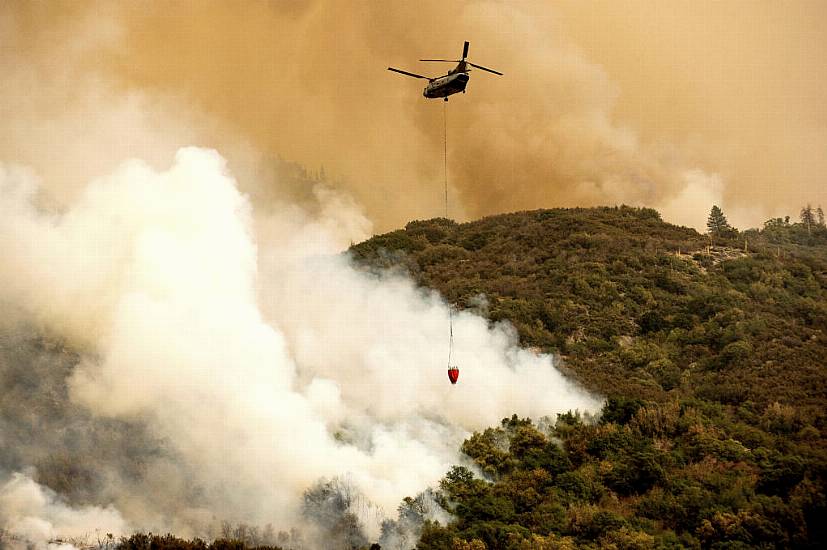 California Forest Fires Threaten World’s Largest Trees