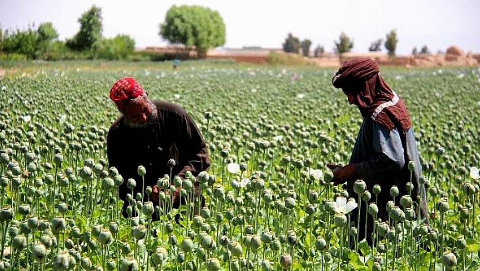 India Seizes €2.3Bn Afghan Heroin Haul Amid Kabul Takeover Chaos