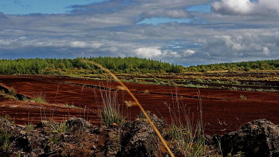 Court Refuses Firm's Attempt To Lift Injunction On Peat Extraction