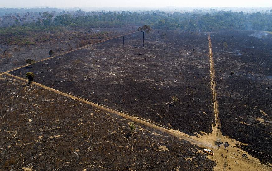 Climate Activists Urge Investigation Of Brazil’s Bolsonaro Over Amazon Policies