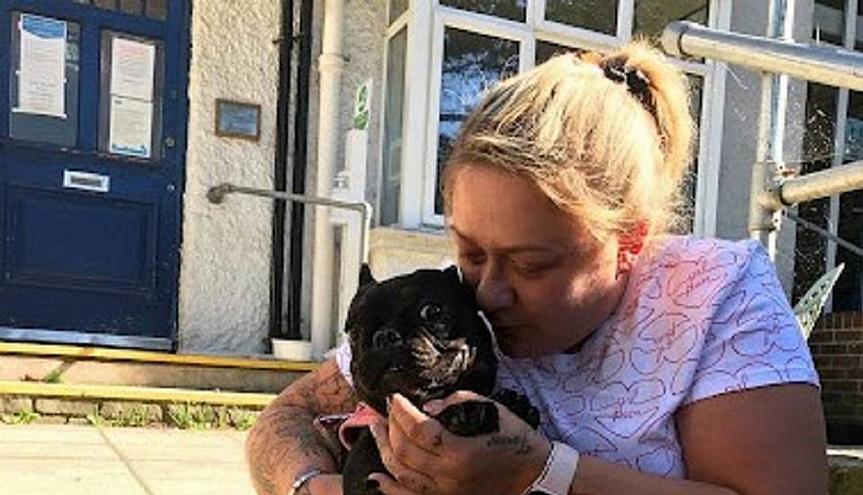 Dog Owner ‘So Grateful’ To Reunite With Stolen Pet 160 Miles Away