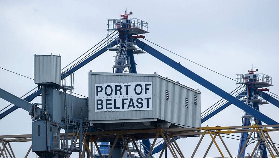 Police Come To Aid Of Seal Last Seen In Belfast Lough With A Can Stuck In Its Jaw